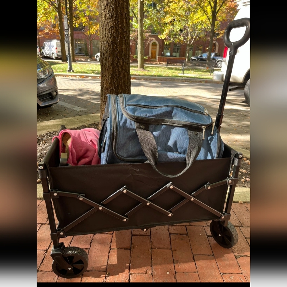 COPY - Collapsible Wagon Cart Foldable - Lightweight Portable Heavy Duty Foldin… - Picture 2 of 8